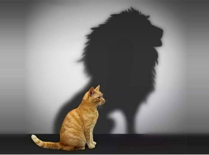 Self-Esteem: Important Aspects and Impact on a Person's Life