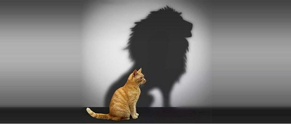 Self-Esteem: Important Aspects and Impact on a Person's Life