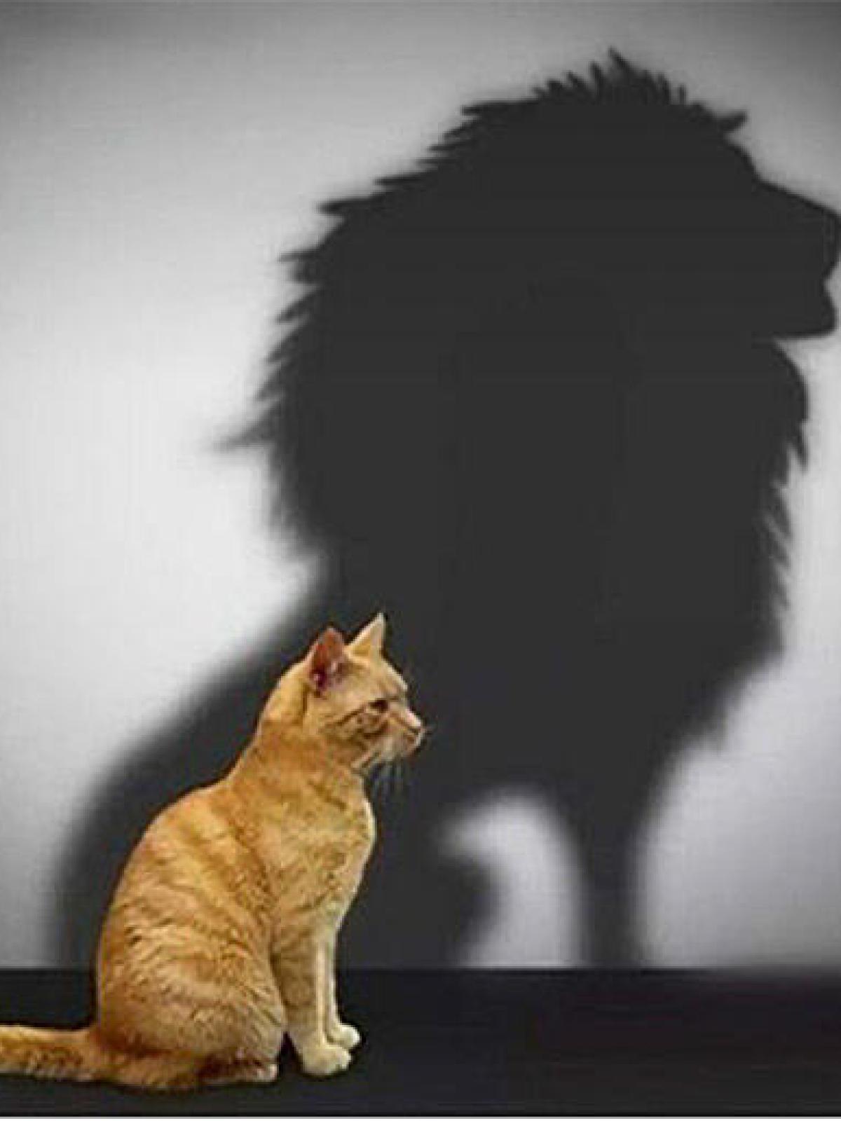 Self-Esteem: Important Aspects and Impact on a Person's Life